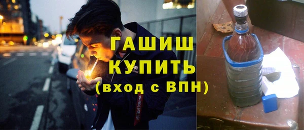 дживик Ельня
