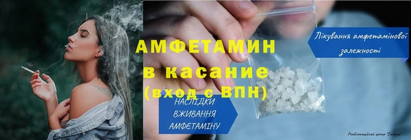 дживик Ельня