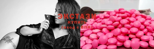 дживик Ельня