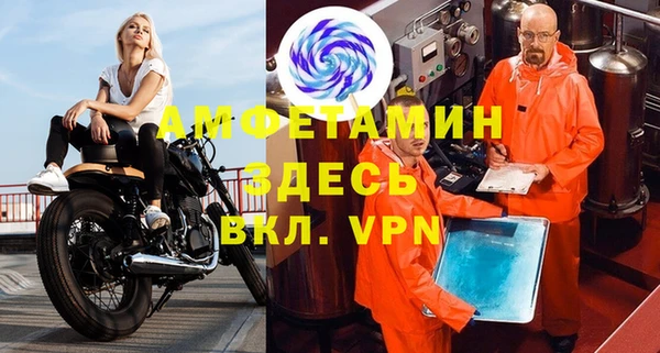 дживик Ельня