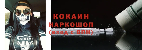 дживик Ельня