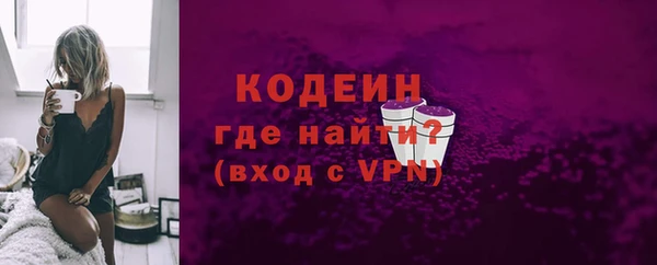 дживик Ельня