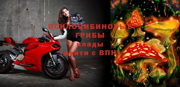 герыч Елабуга