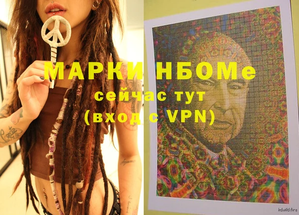 стафф Елизово