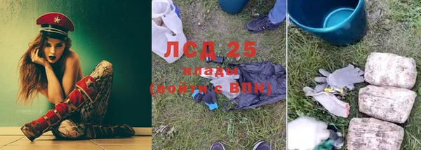 дживик Ельня