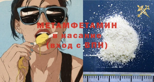 дживик Ельня