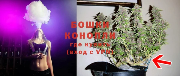 дживик Ельня
