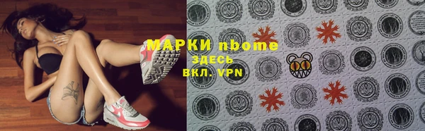 дживик Ельня