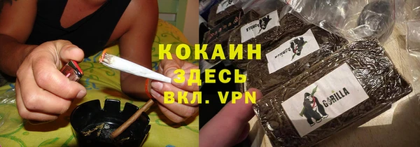 стафф Елизово