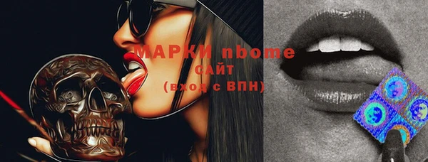 дживик Ельня