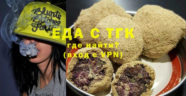 дживик Ельня