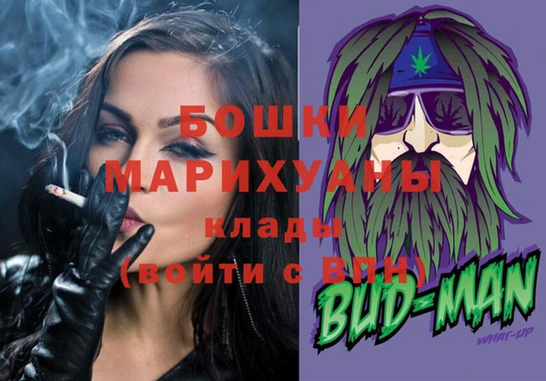 дживик Ельня